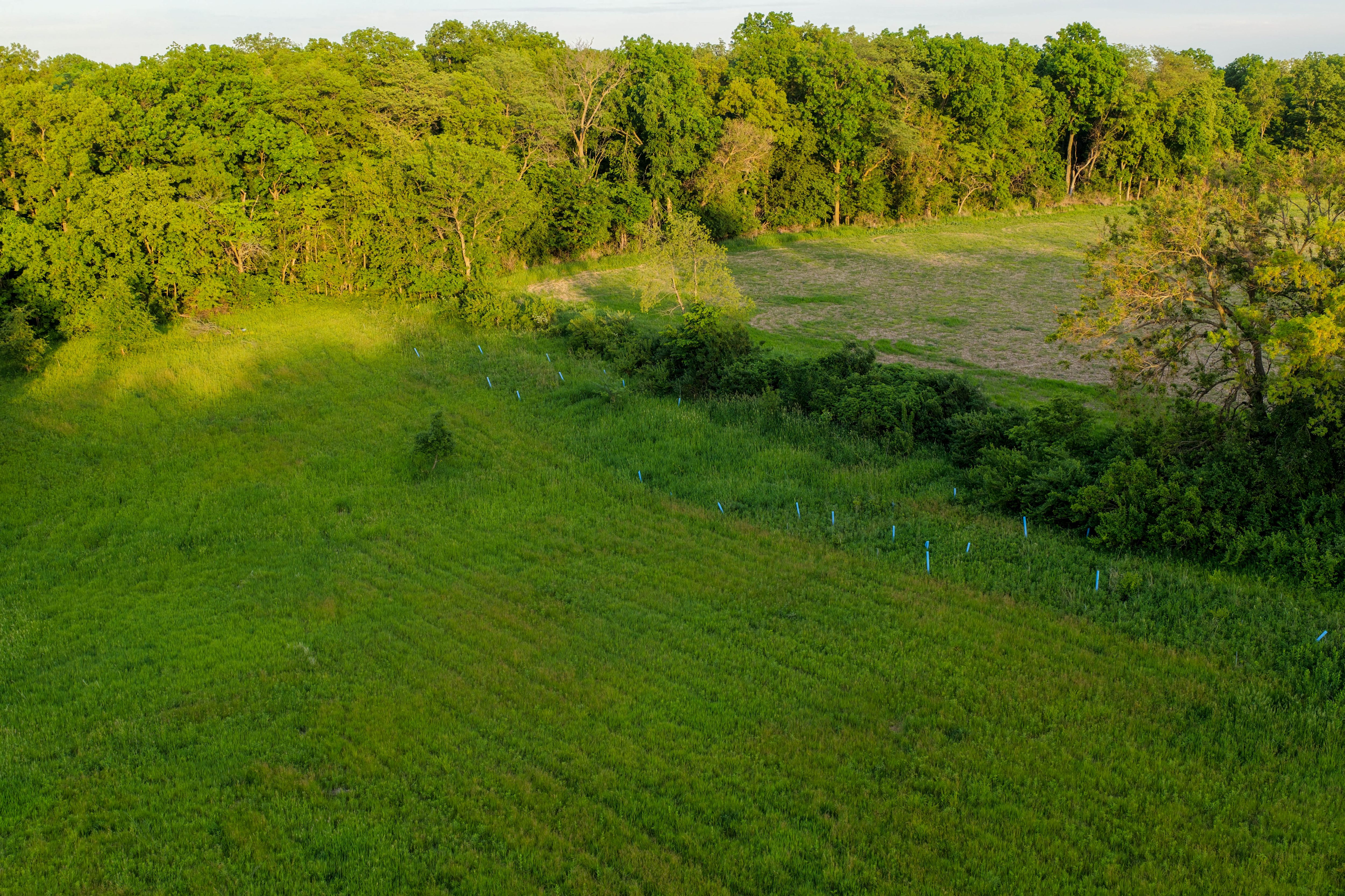 Listing Photo: Washington County Iowa Recreational Land For Sale-31